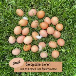 Verkoop biologische eieren